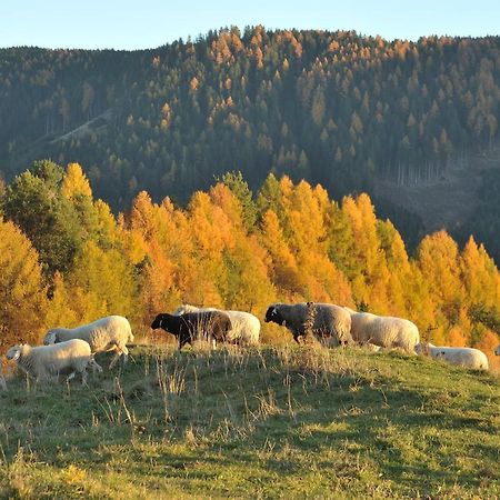 Schiessstandhof Bed & Breakfast Монтаня Екстериор снимка